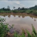 ଭାସମାନ ଅବସ୍ଥାରେ ହାତୀ ଛୁଆର ମୃତ ଦେହ ଉଦ୍ଧାର।