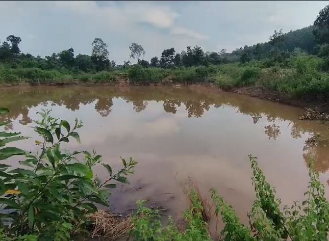 ଭାସମାନ ଅବସ୍ଥାରେ ହାତୀ ଛୁଆର ମୃତ ଦେହ ଉଦ୍ଧାର।