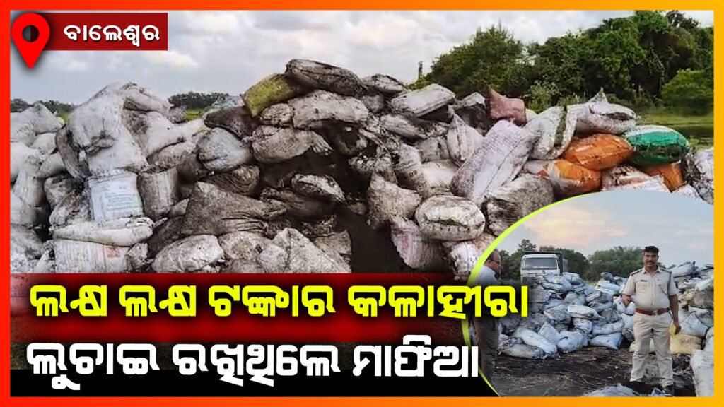 ବେଆଇନ ଭାବେ ଗଛିତ କୋଇଲା ଜବତ କଲା ସିମୁଳିଆ ପୋଲିସ।