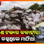 ବେଆଇନ ଭାବେ ଗଛିତ କୋଇଲା ଜବତ କଲା ସିମୁଳିଆ ପୋଲିସ।