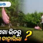 ଅଖରୁ ବାହାରିଲା କୁକୁରର ଶବ