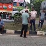 ଟ୍ରକ ଧକ୍କାରେ ୫ରୁ ଉର୍ଦ୍ଧ୍ବ ଗାଈ ମୃତ