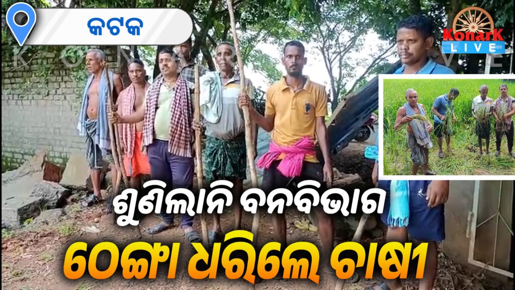 ହାତୀ ନଷ୍ଟ କଲା ଚାଷୀର ସୁନାର ଫସଲ