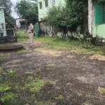 ହାତୀ ଆକ୍ରମଣରେ ବୃଦ୍ଧଙ୍କ ମୃତ୍ୟୁ