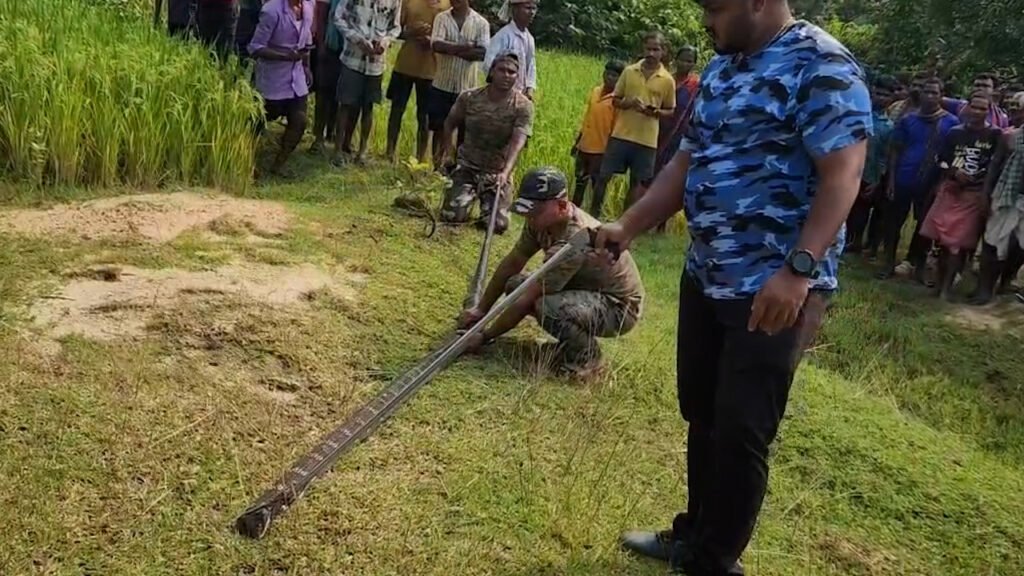 ବିଶାଳ ଅହିରାଜ ଉଦ୍ଧାର କଲା ବନ ବିଭାଗ || MAYURBHANJ NEWS