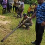 ବିଶାଳ ଅହିରାଜ ଉଦ୍ଧାର କଲା ବନ ବିଭାଗ || MAYURBHANJ NEWS