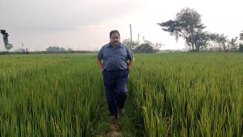 ଅଫିସର ହେବ ତ “ରଥ ବାବୁ”ଙ୍କ ପରି | BALASORE NEWS