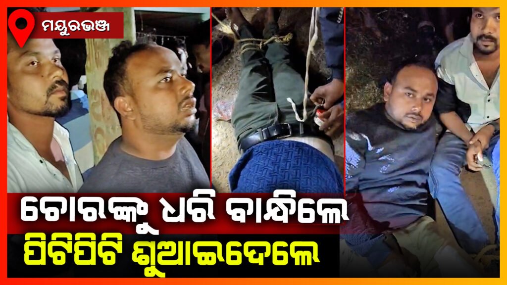 ଚୋରଙ୍କୁ ଧରି ବାନ୍ଧିଲେ ପିଟି ପିଟି ଶୁଆଇଦେଲେ || MAYURBHANJ NEWS